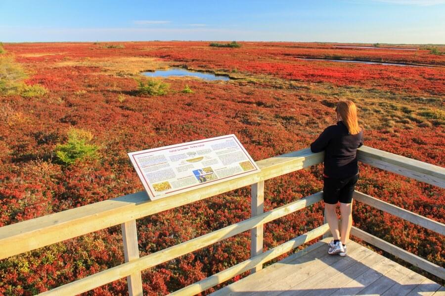 Randonn Es Aux Couleurs De Lautomne Au Nouveau Brunswick Explorenb